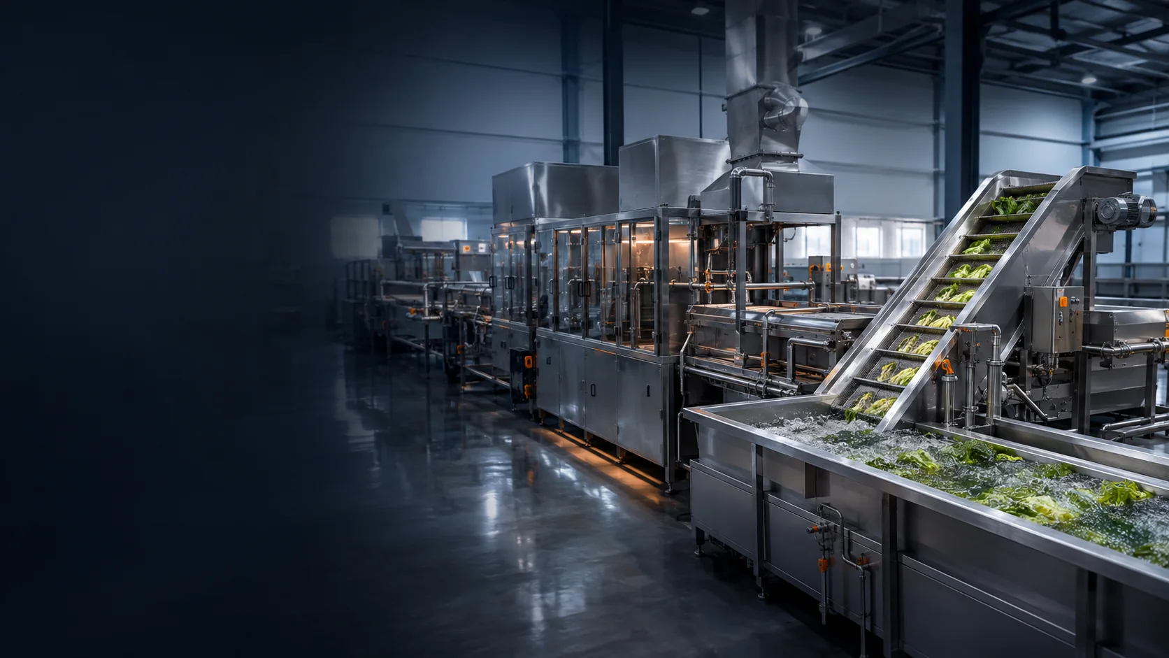 Automated stainless-steel industrial food processing line